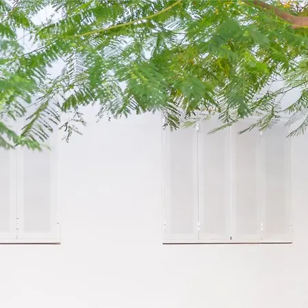 Edi Astoria سانتا كروز دي تينيريف