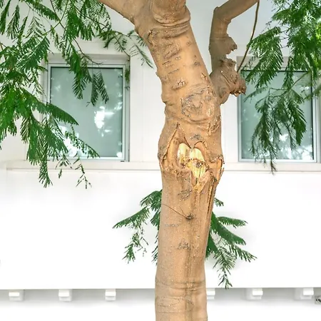 Edi Astoria Lägenhet