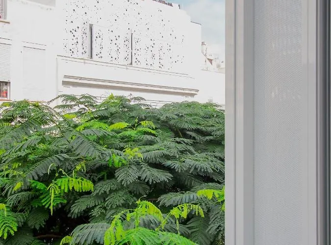 Apartment Edi Astoria Santa Cruz de Tenerife