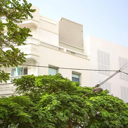 Edi Astoria * サンタクルスデテネリフェ