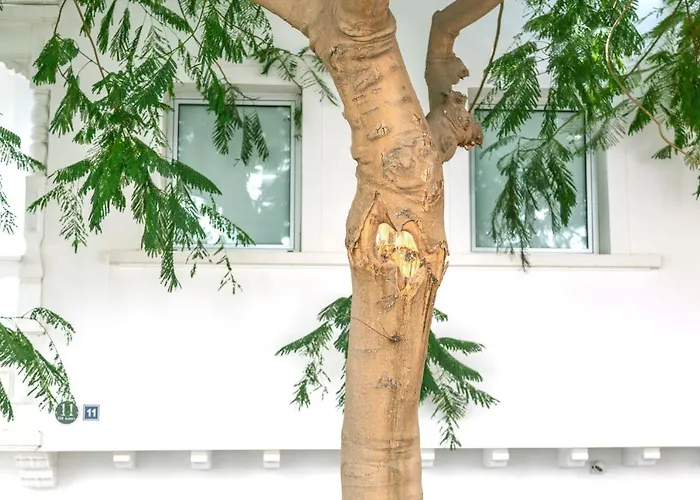 Edi Astoria アパート